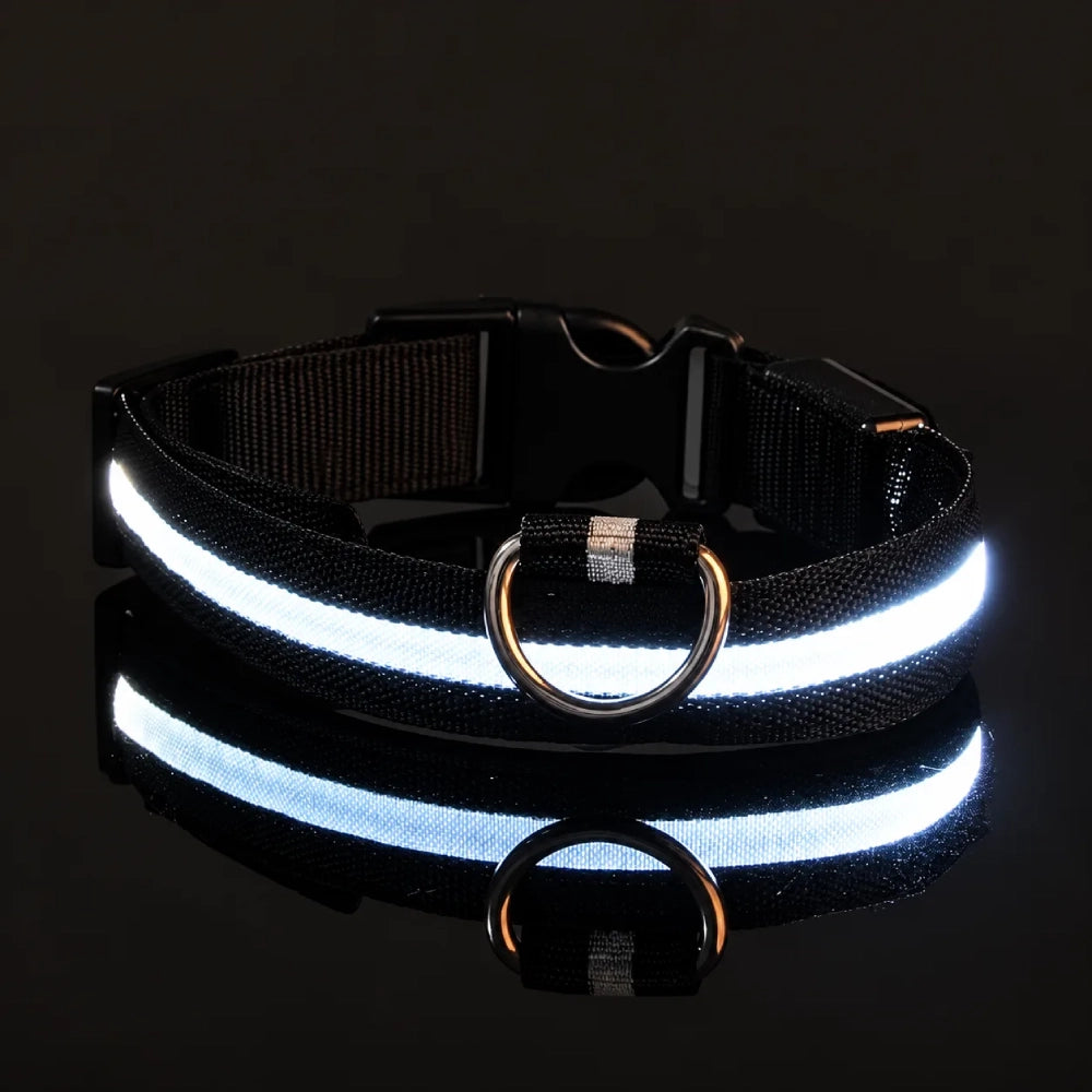 GlowDog™ — LED Dog Collar