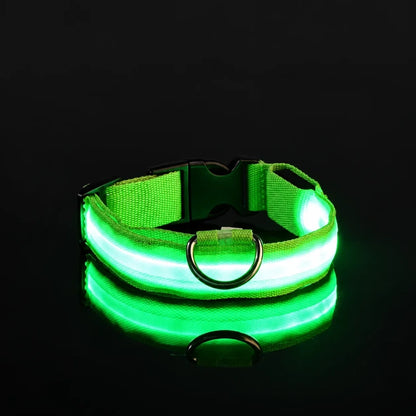 GlowDog™ — LED Dog Collar