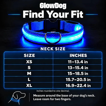GlowDog™ — LED Dog Collar