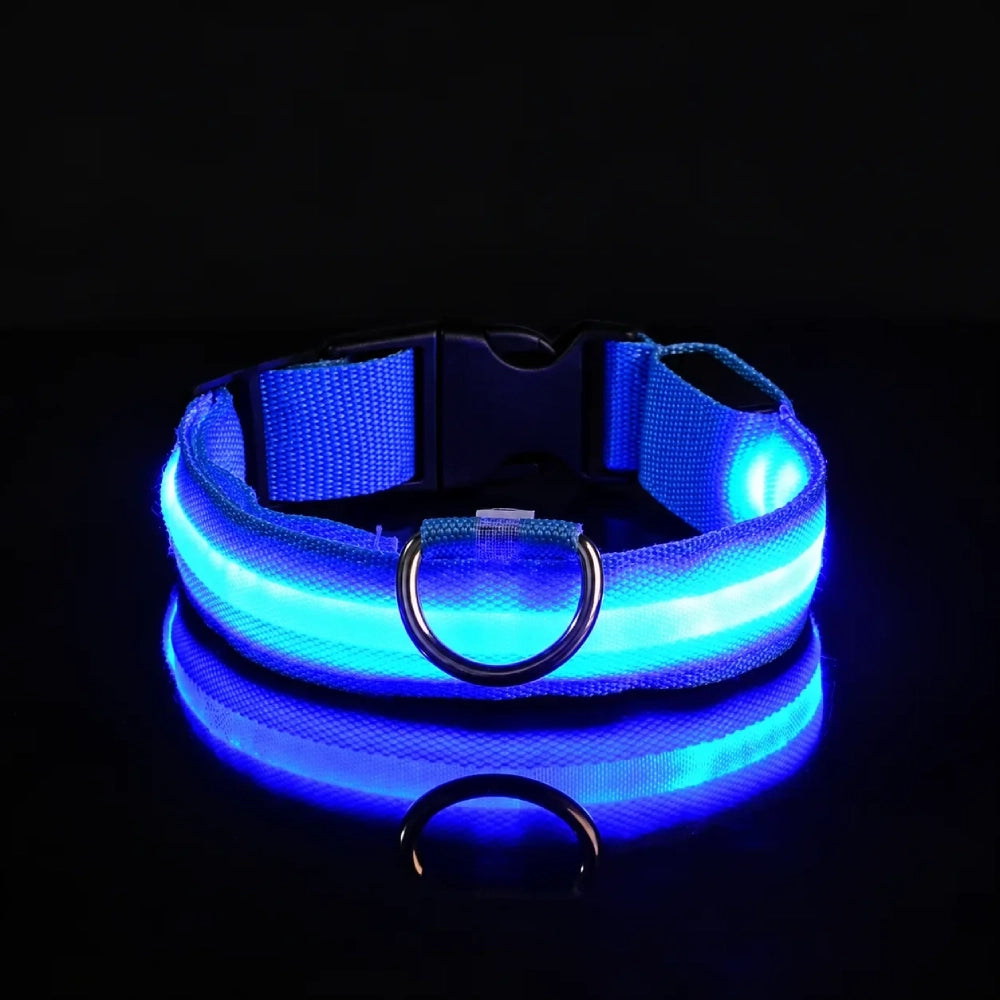 GlowDog™ — LED Dog Collar