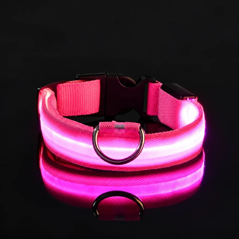 GlowDog™ — LED Dog Collar