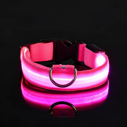 GlowDog™ — LED Dog Collar