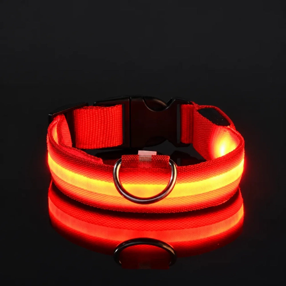 GlowDog™ — LED Dog Collar