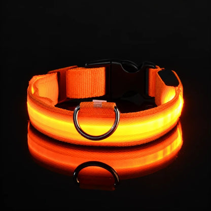 GlowDog™ — LED Dog Collar