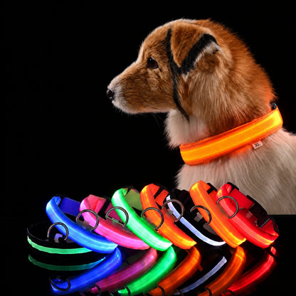 GlowDog™ — LED Dog Collar