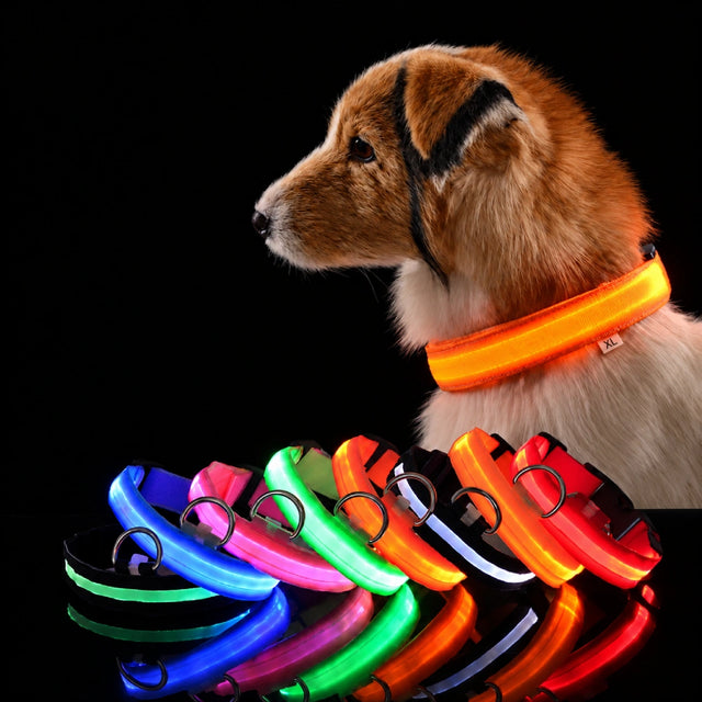 GlowDog™ — LED Dog Collar