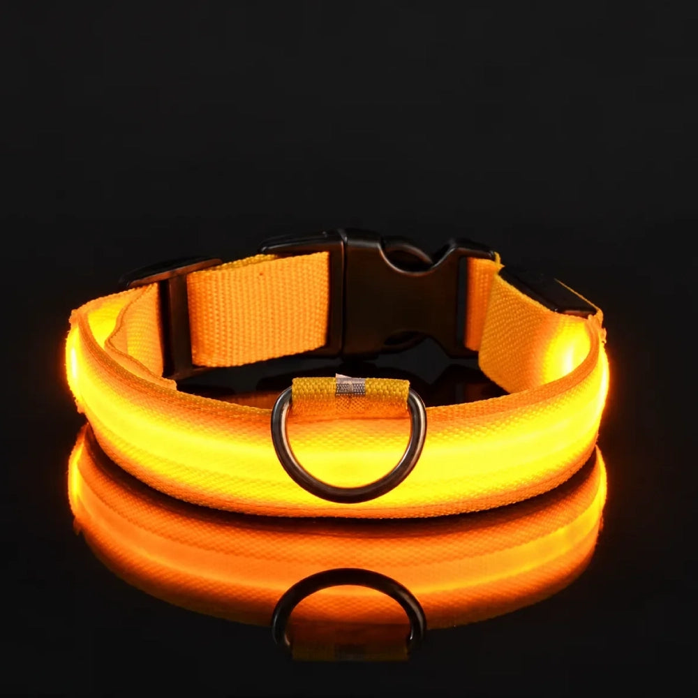 GlowDog™ — LED Dog Collar